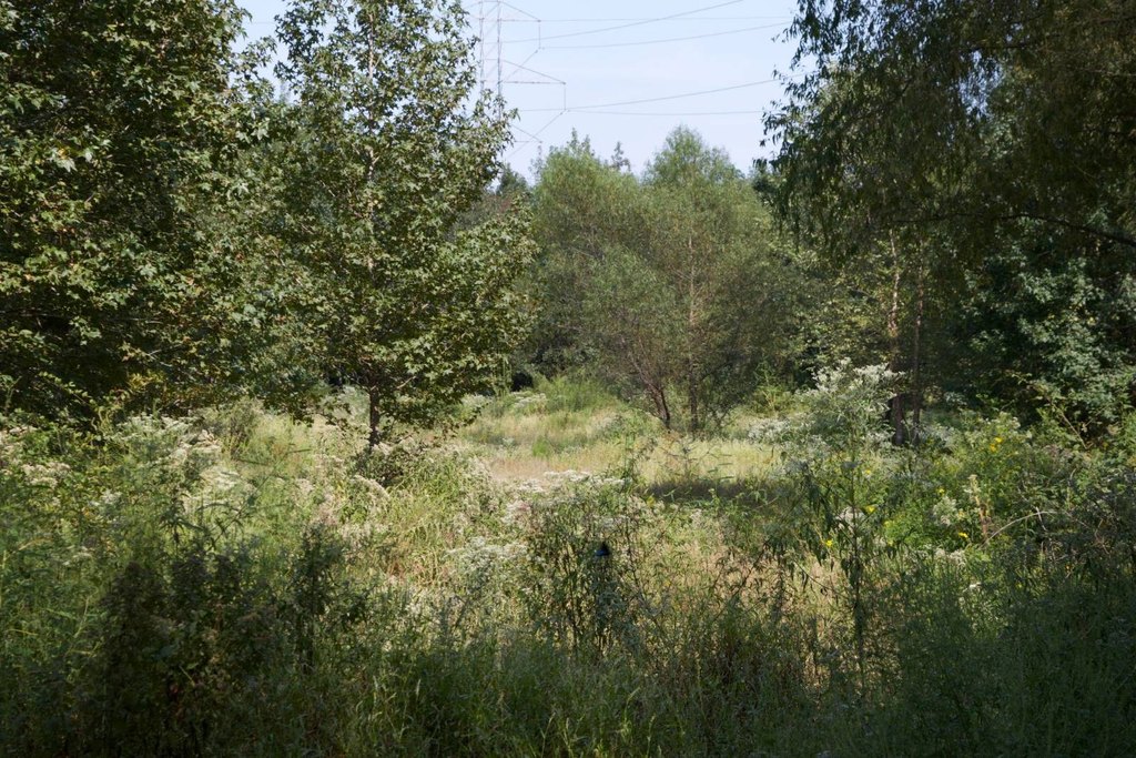 Picture 2