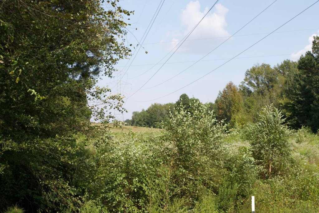 Picture 8