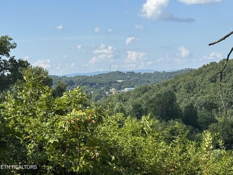 7 Acres Land in Tazewell