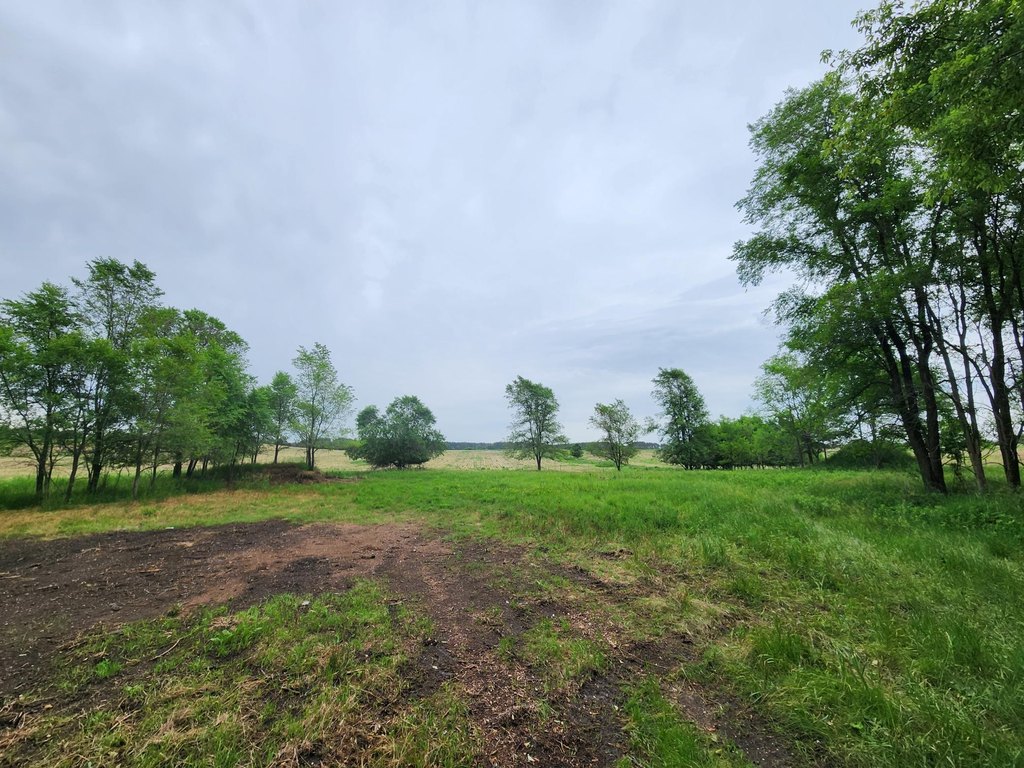 Picture 20