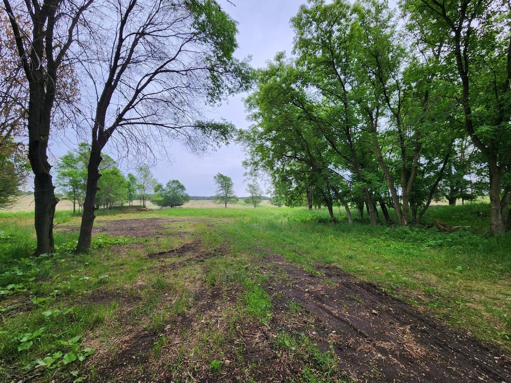 Picture 21