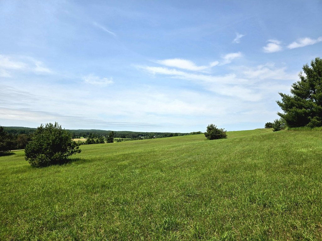 Picture 37
