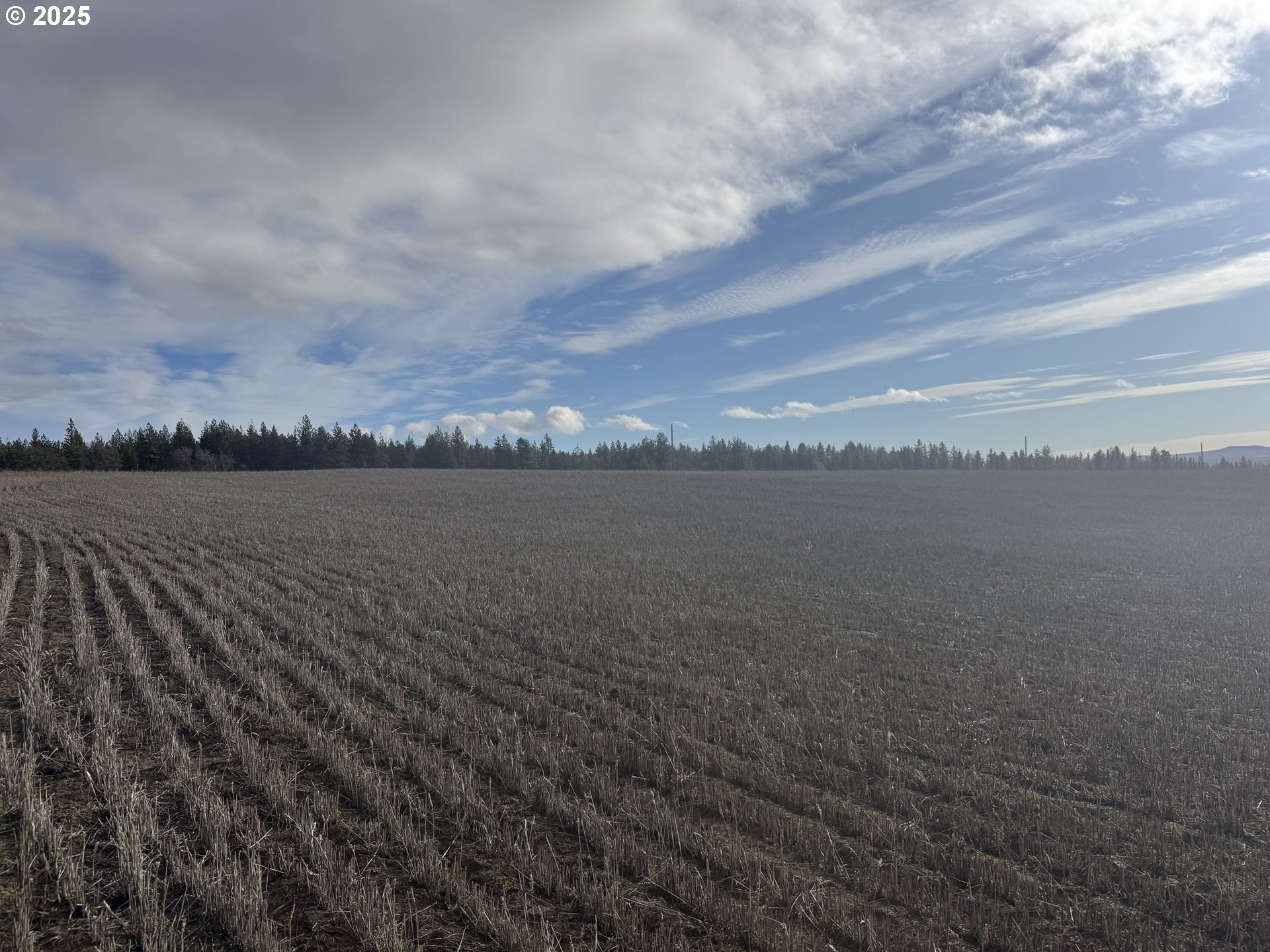 Land with Mountain Views
