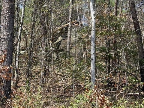 Unrestricted Wooded Land Near Lake