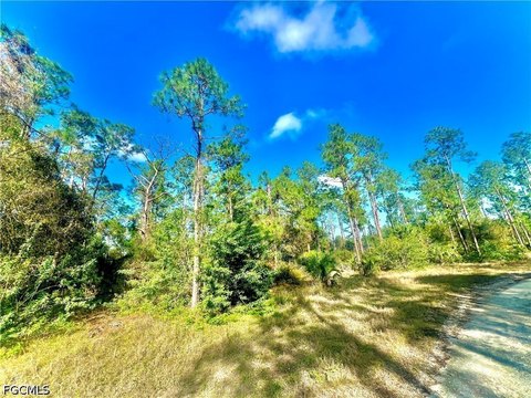 LAND - Lehigh Acres, FL