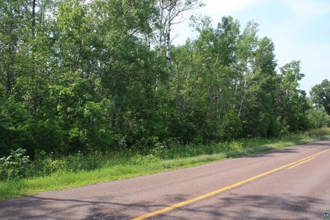 Wooded Agricultural Land Parcel