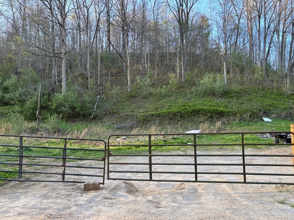 Picture 5