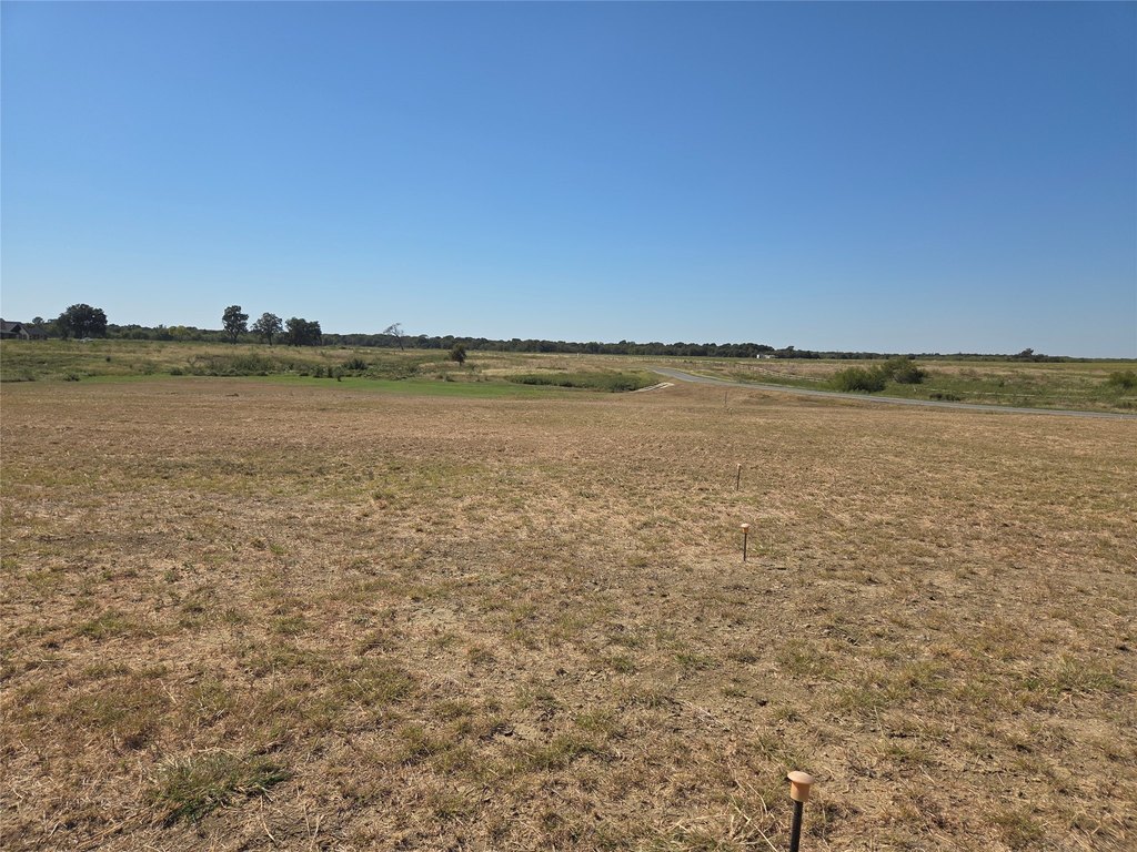 Picture 23