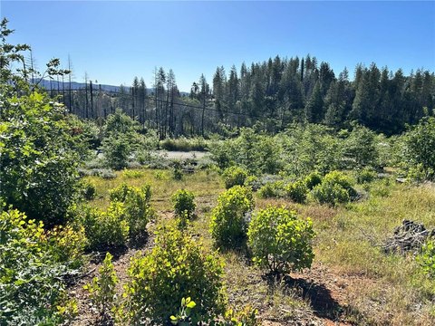 LAND - Berry Creek, CA