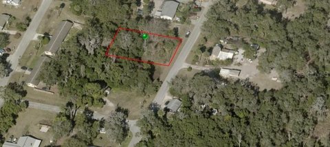Land, DE LEON SPRINGS, FL