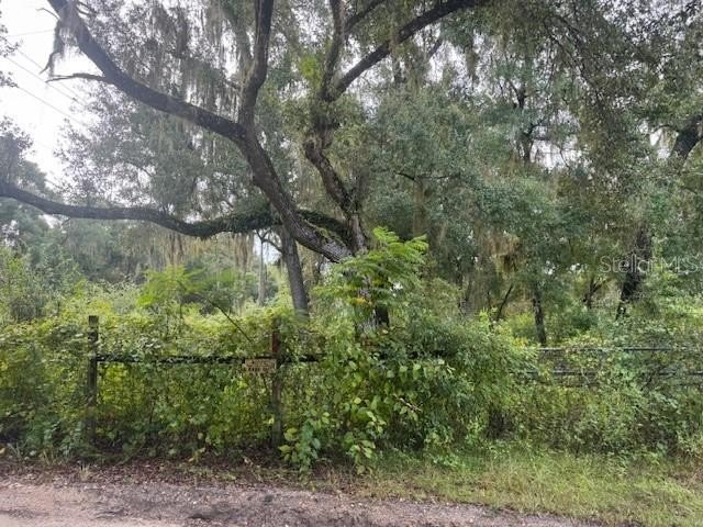 2.3 Acres Land Bundle