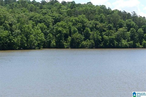 LAND - LINEVILLE, AL
