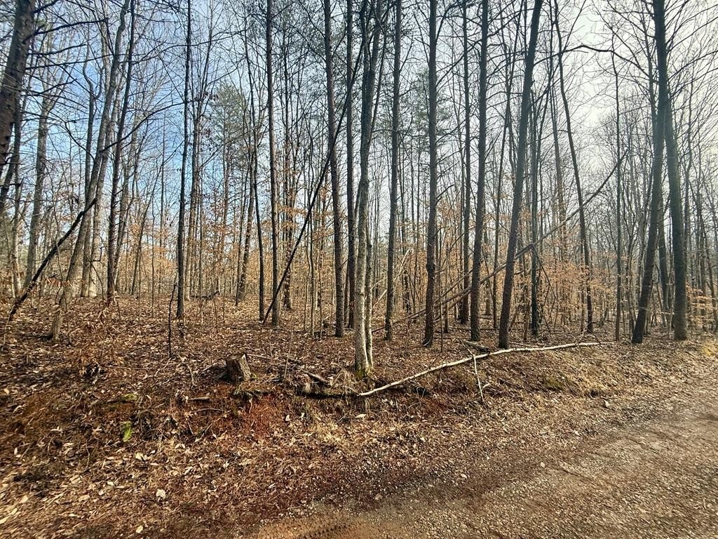 Picture 11