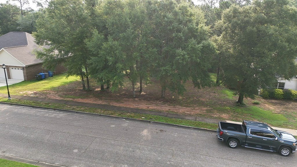 Picture 6