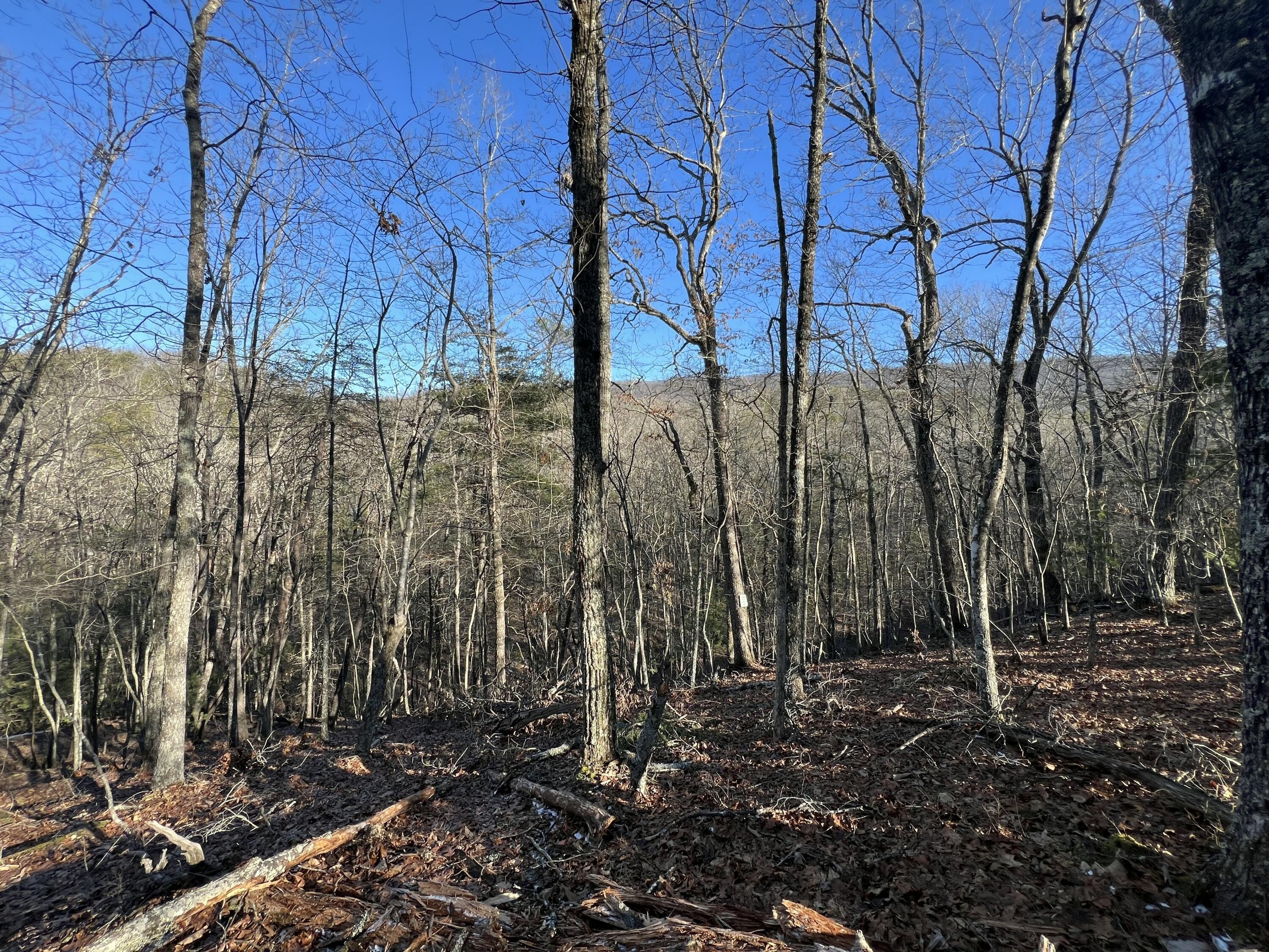 Land Backing Jefferson National Forest