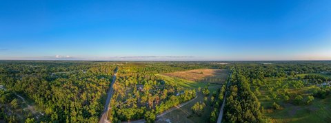 Partially Cleared Farmland Tract