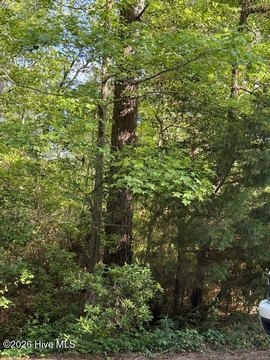 LAND - Hampstead, NC