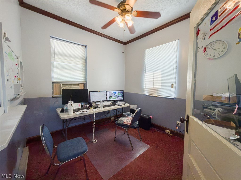 Picture 12