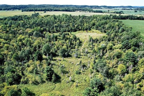 80 Acres Hunting Land, Osseo