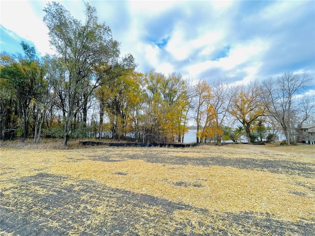 Picture 15