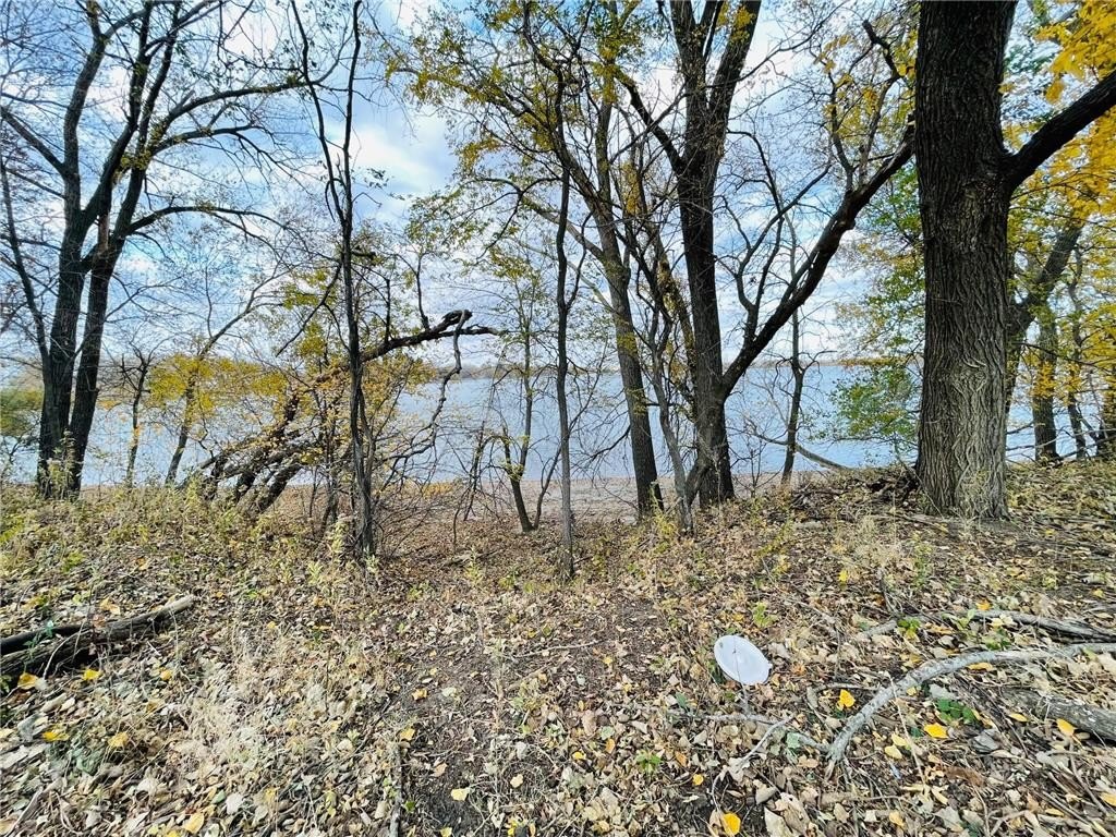 Picture 14