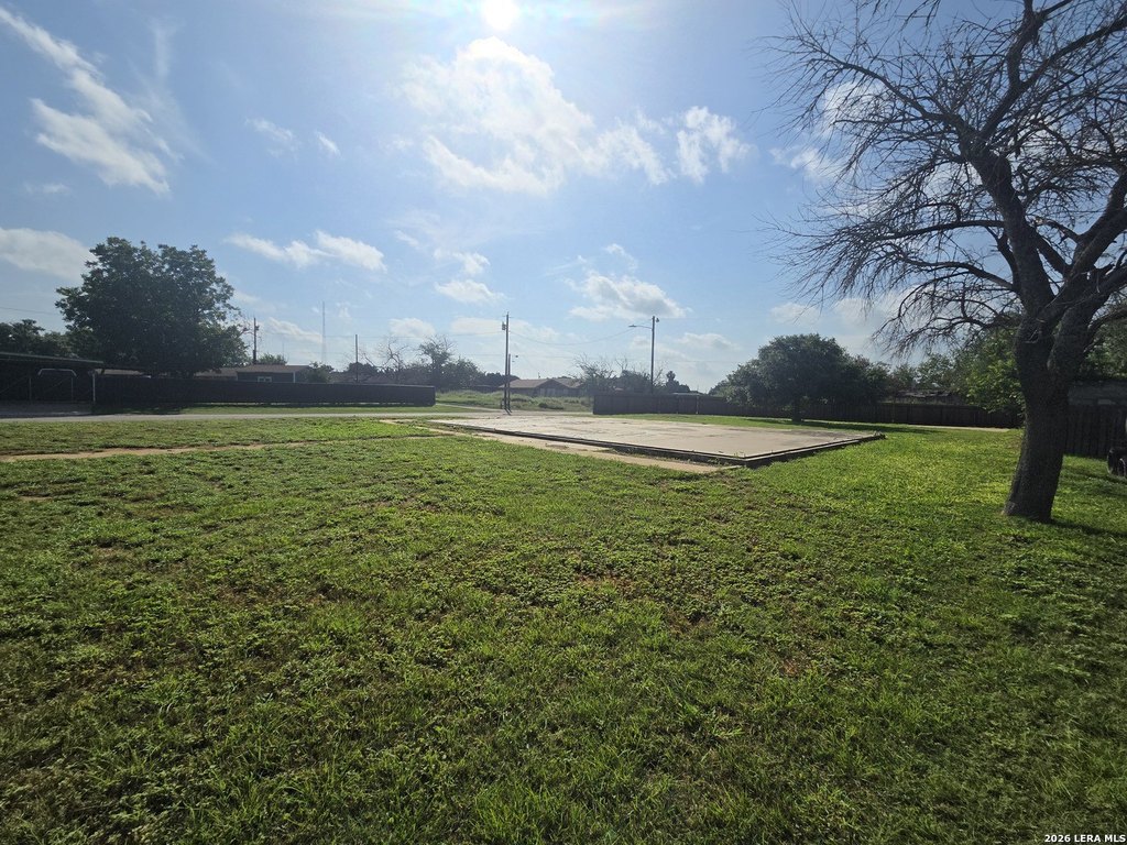 Picture 6