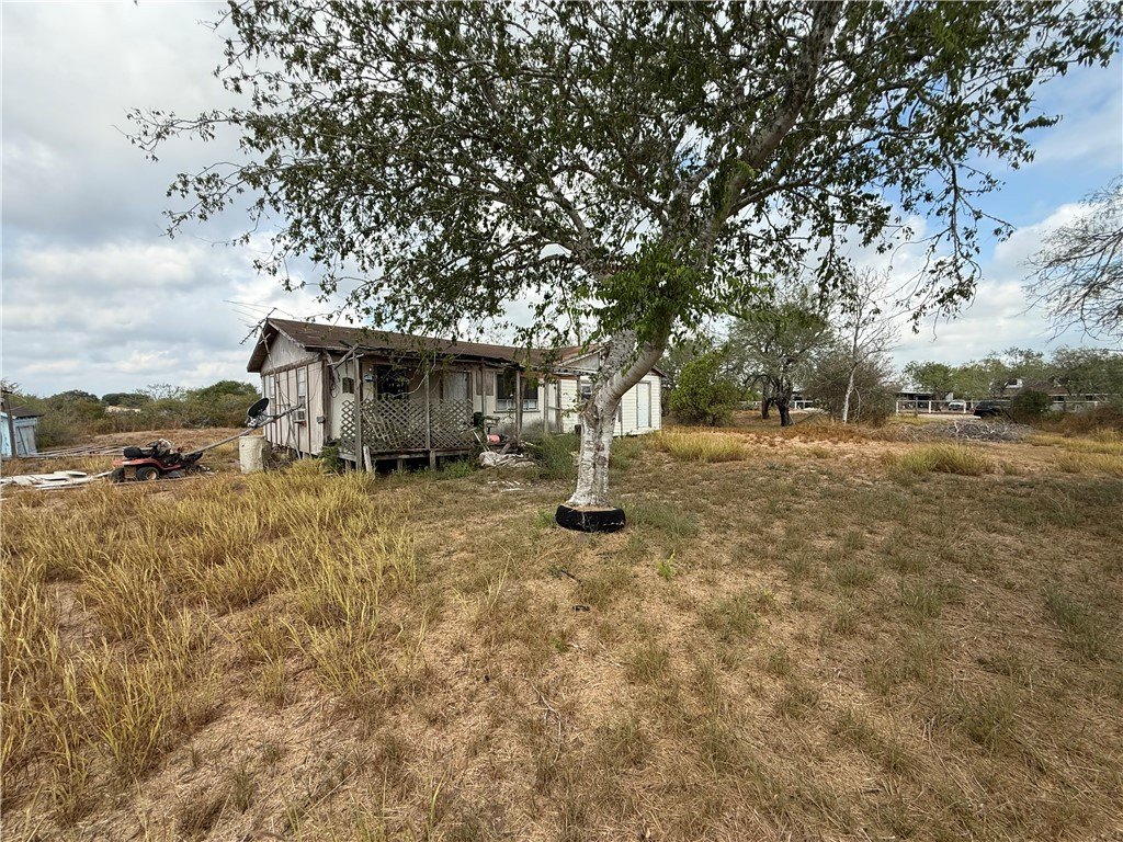 Picture 6