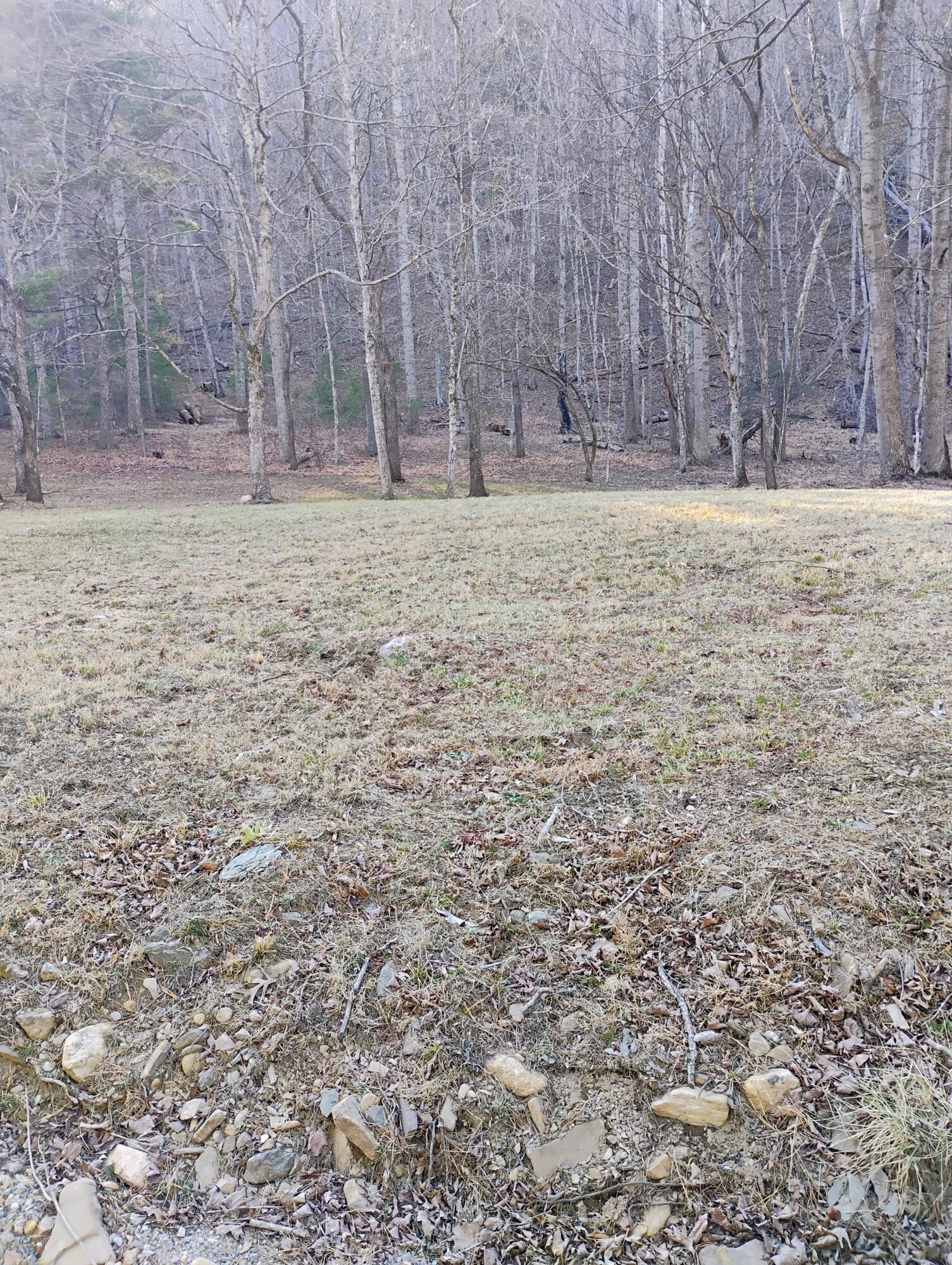 Land on Trout Creek