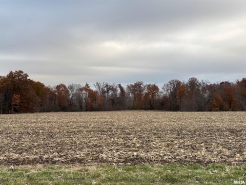 Residential Land in Odin, Illinois