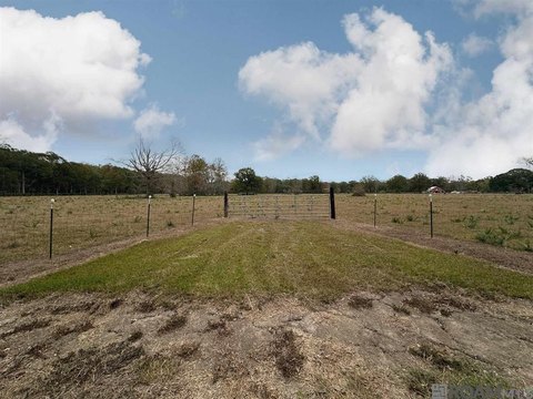 Land, St. Amant, LA