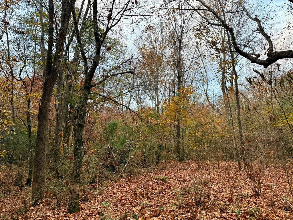Picture 27