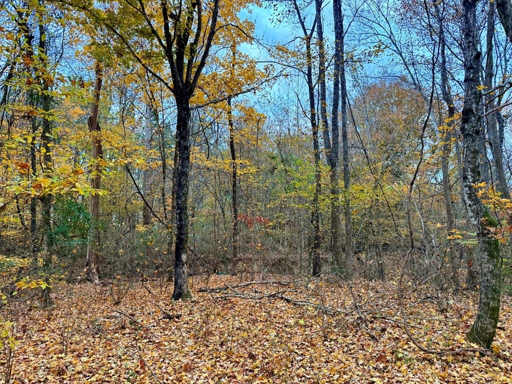 Picture 28
