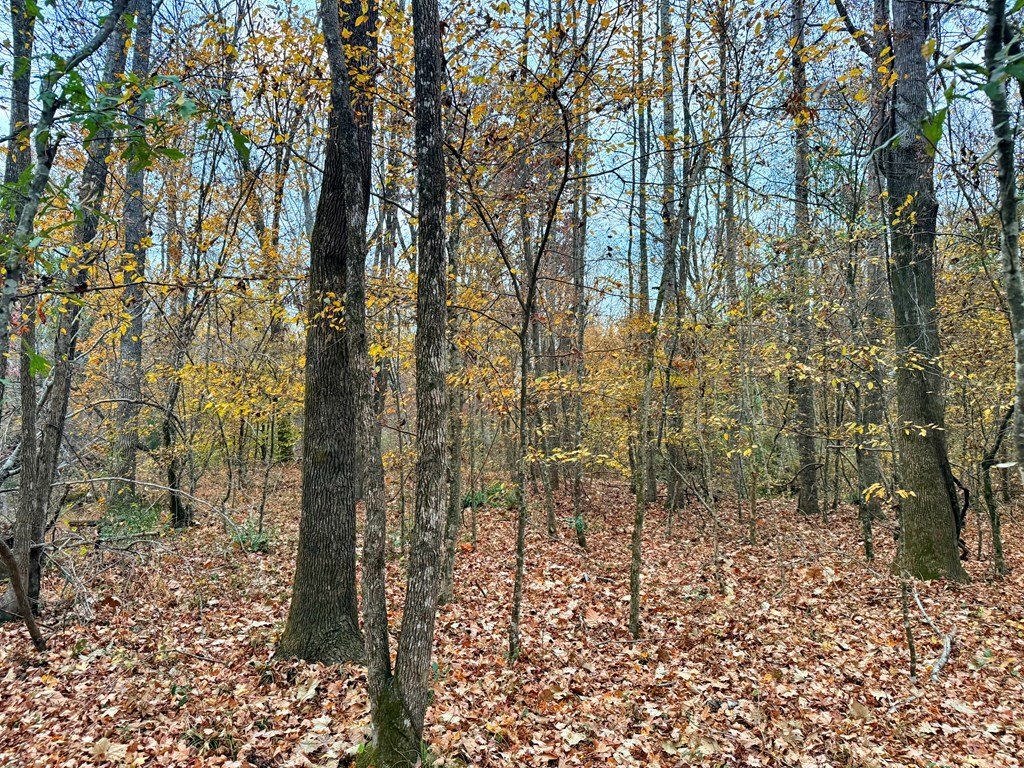 Picture 26