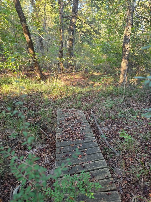 Picture 23