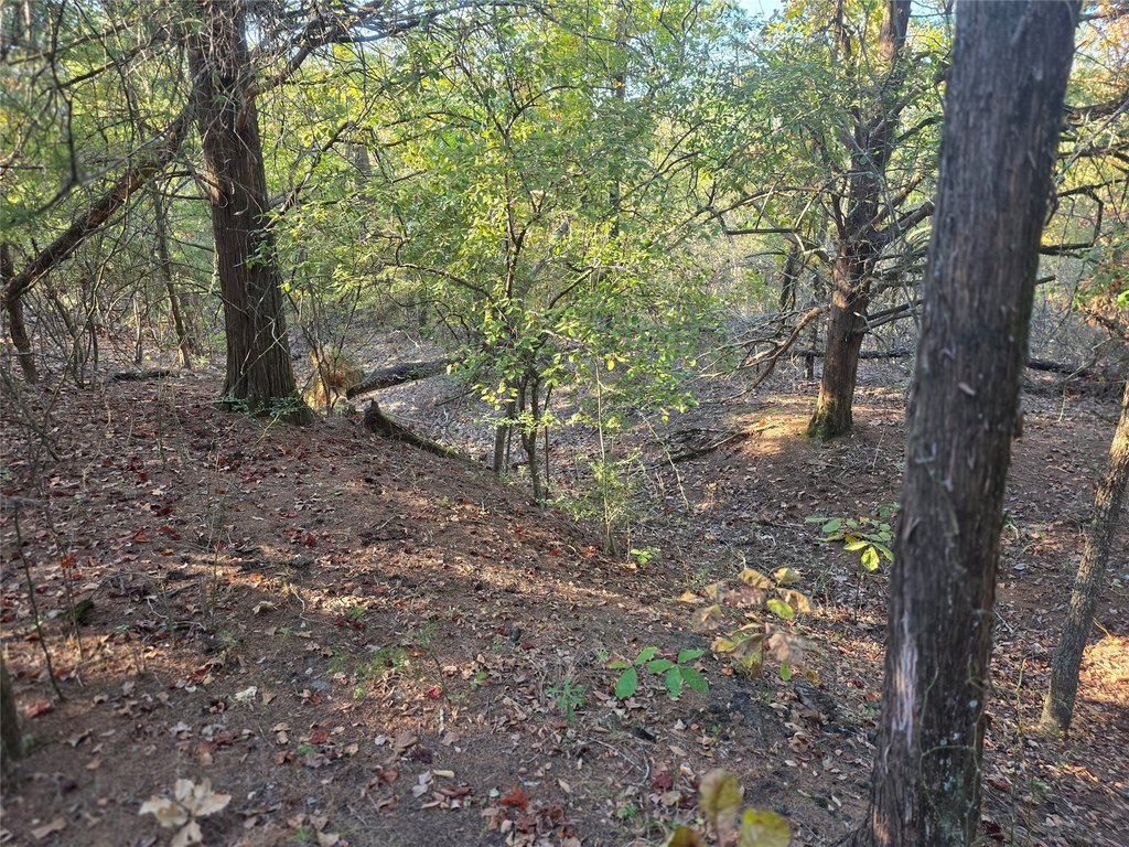 Picture 8