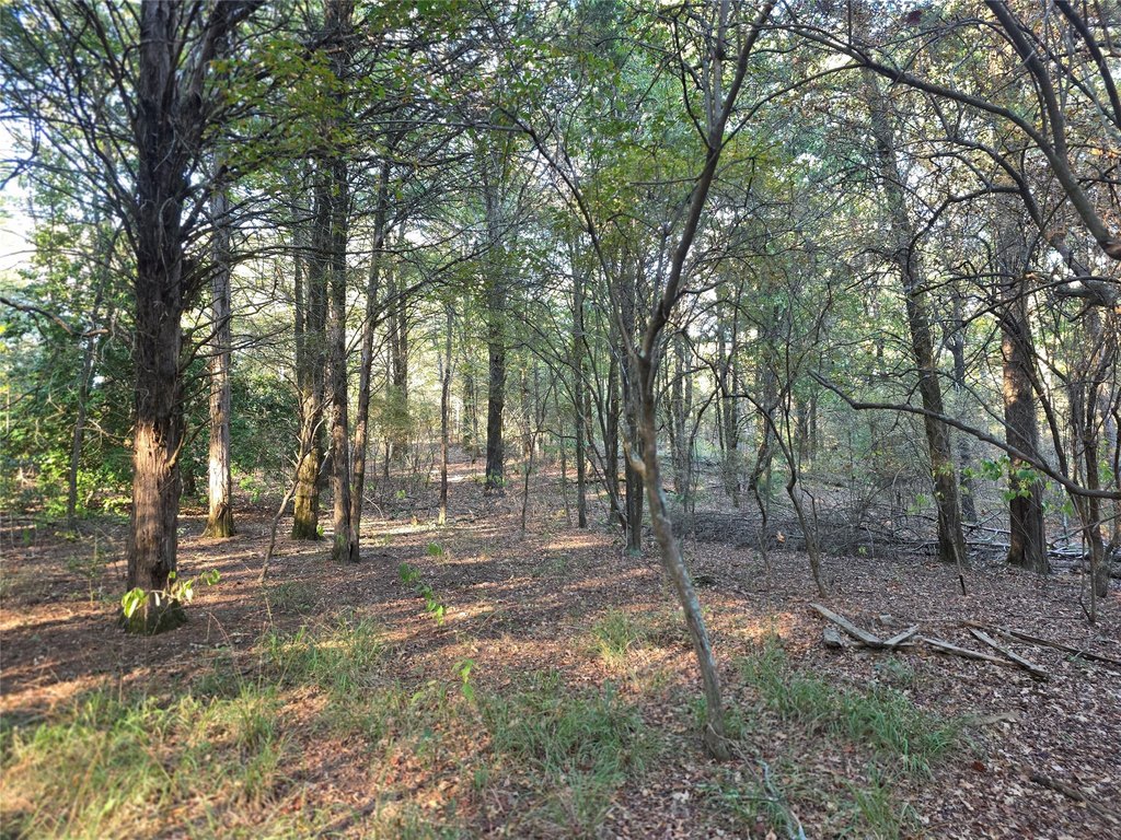 Picture 25
