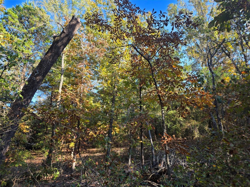 Picture 17