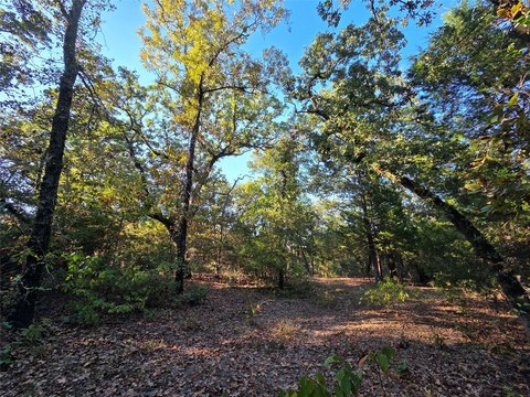 Wooded Home Site in Ranch Community