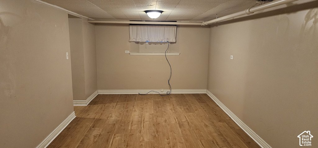 Picture 23