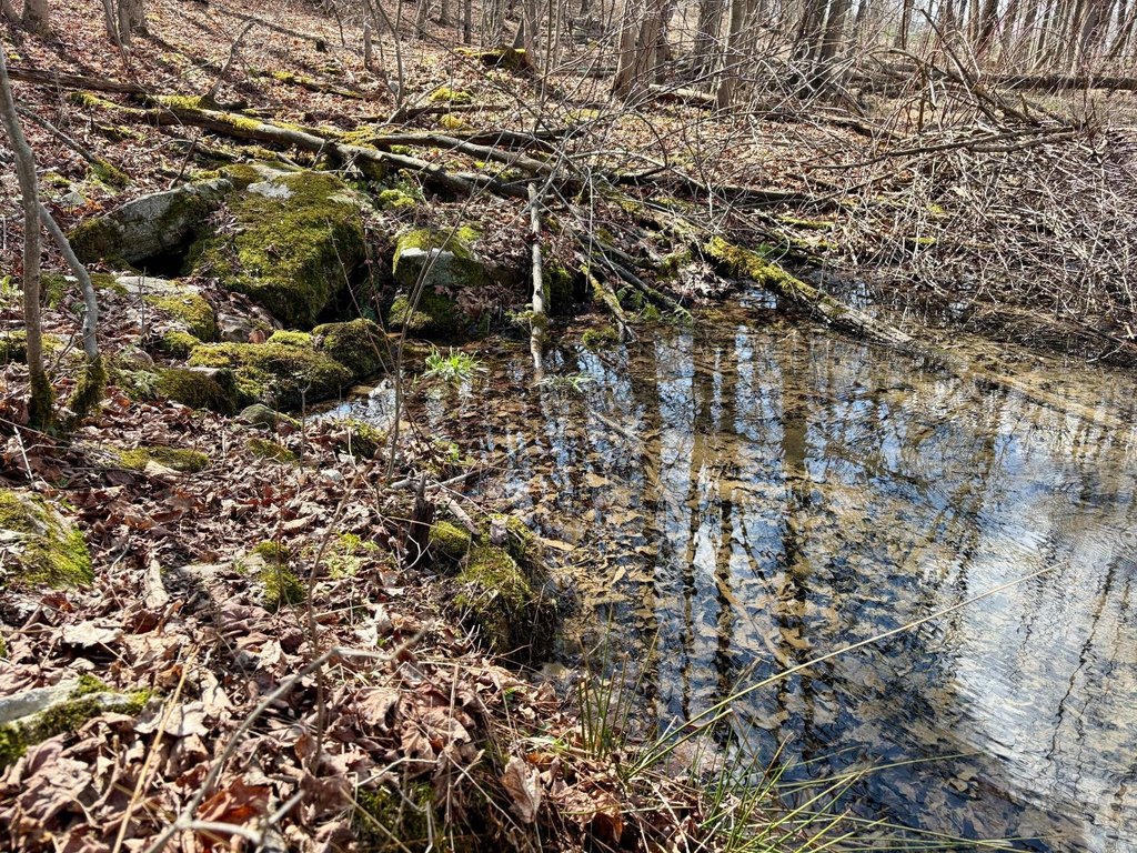Picture 35