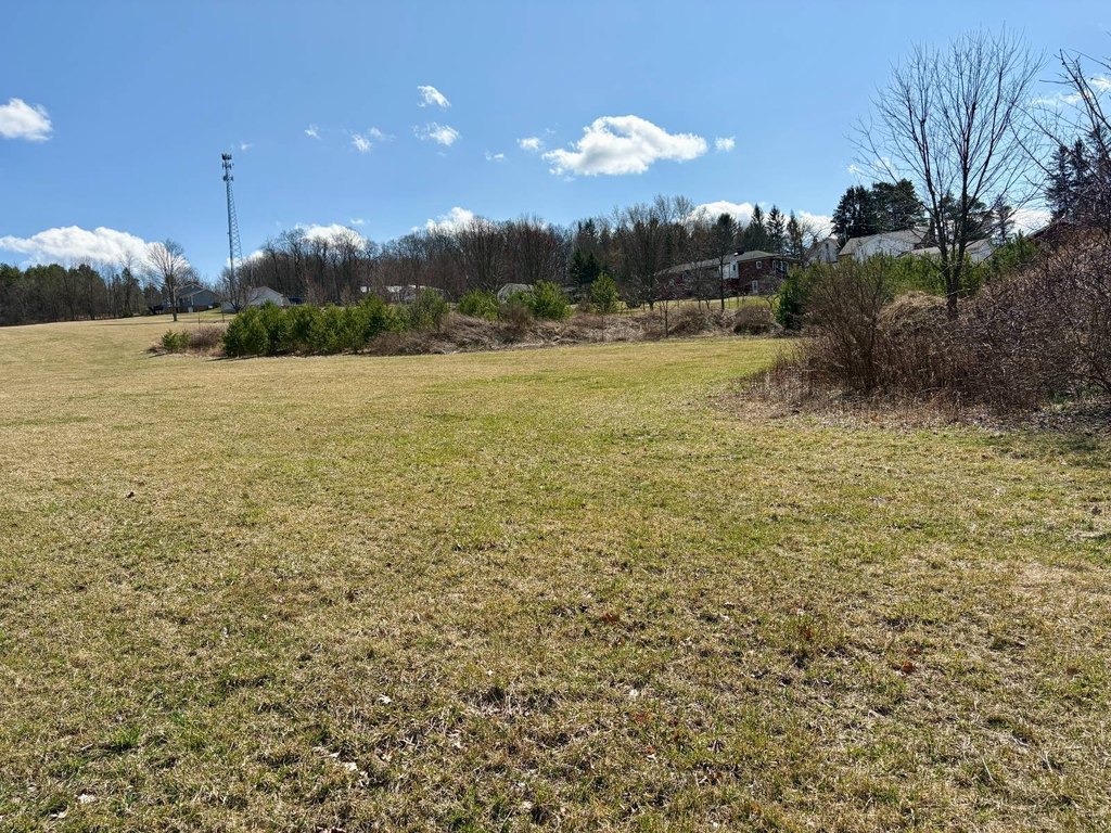 Picture 4
