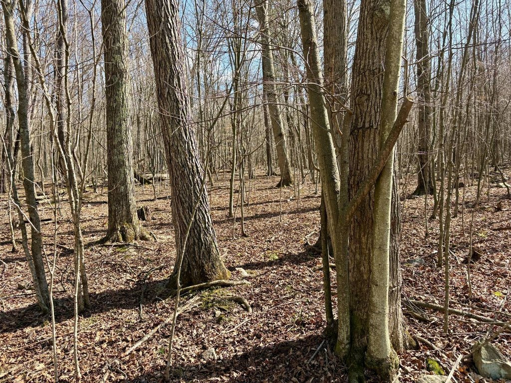 Picture 38