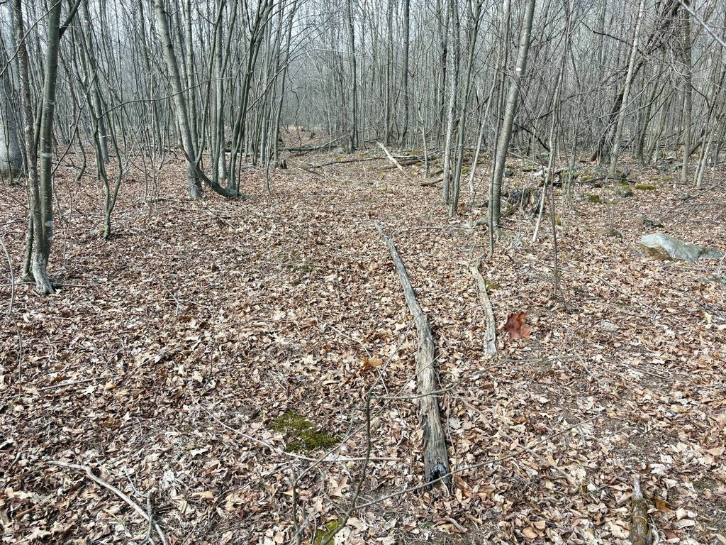 Picture 46