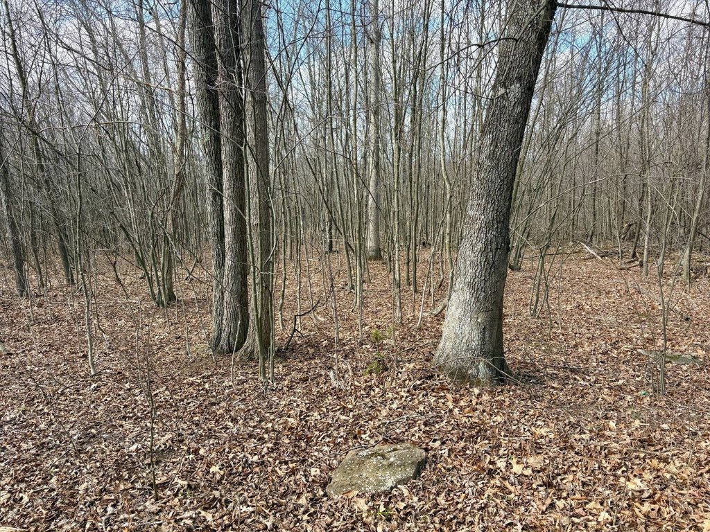 Picture 48
