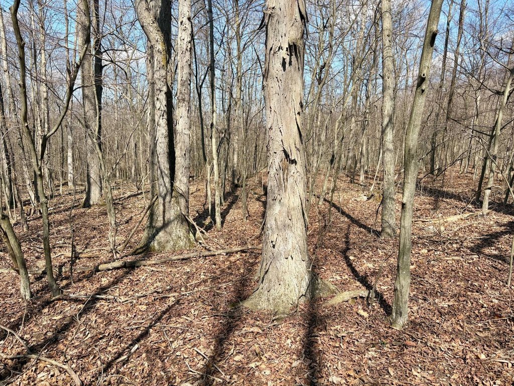 Picture 19