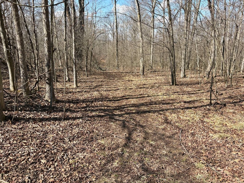 Picture 36