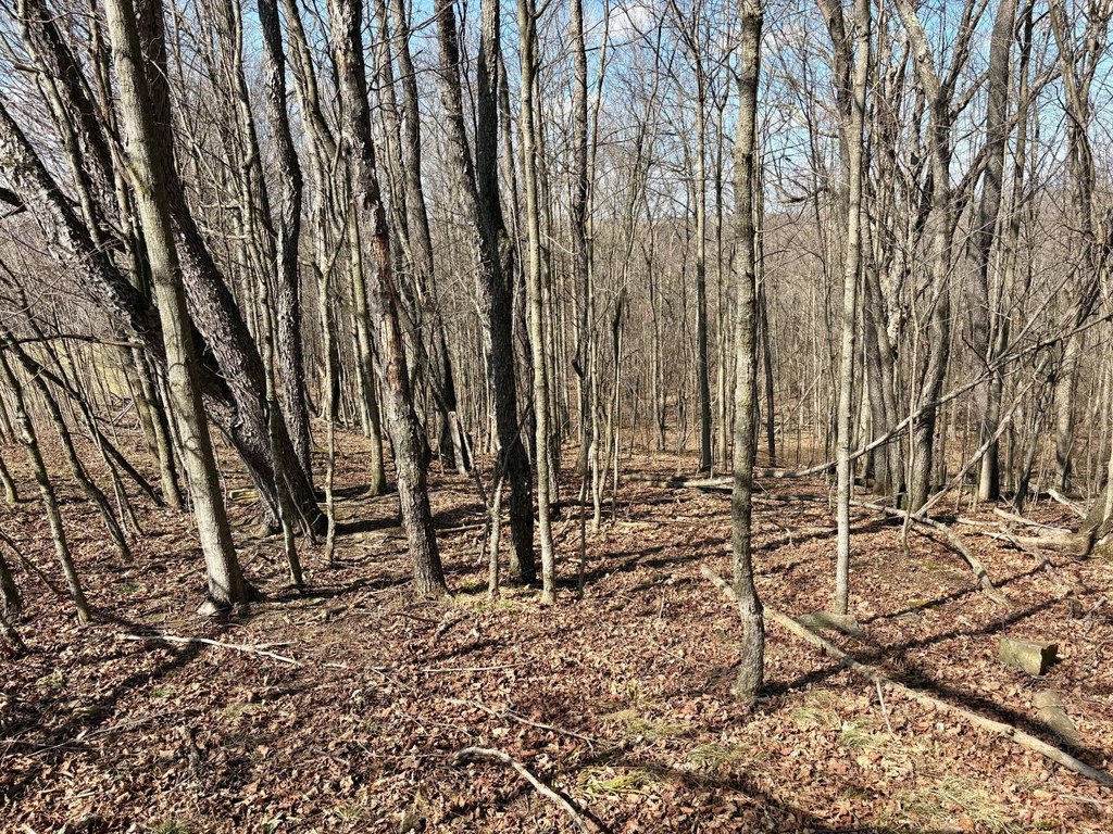 Picture 30
