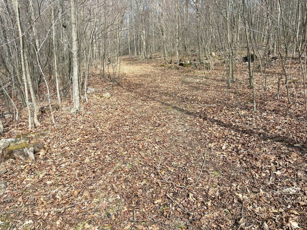 Picture 47