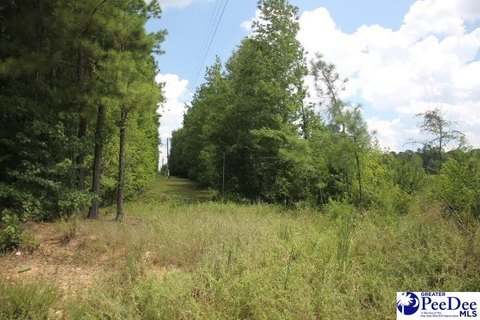 Residential Lot in Chesterfield, SC