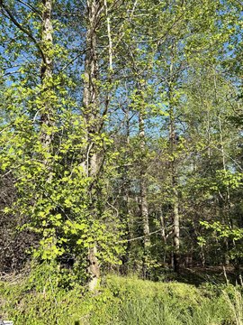 Residential Lot in Sweetwater Hills